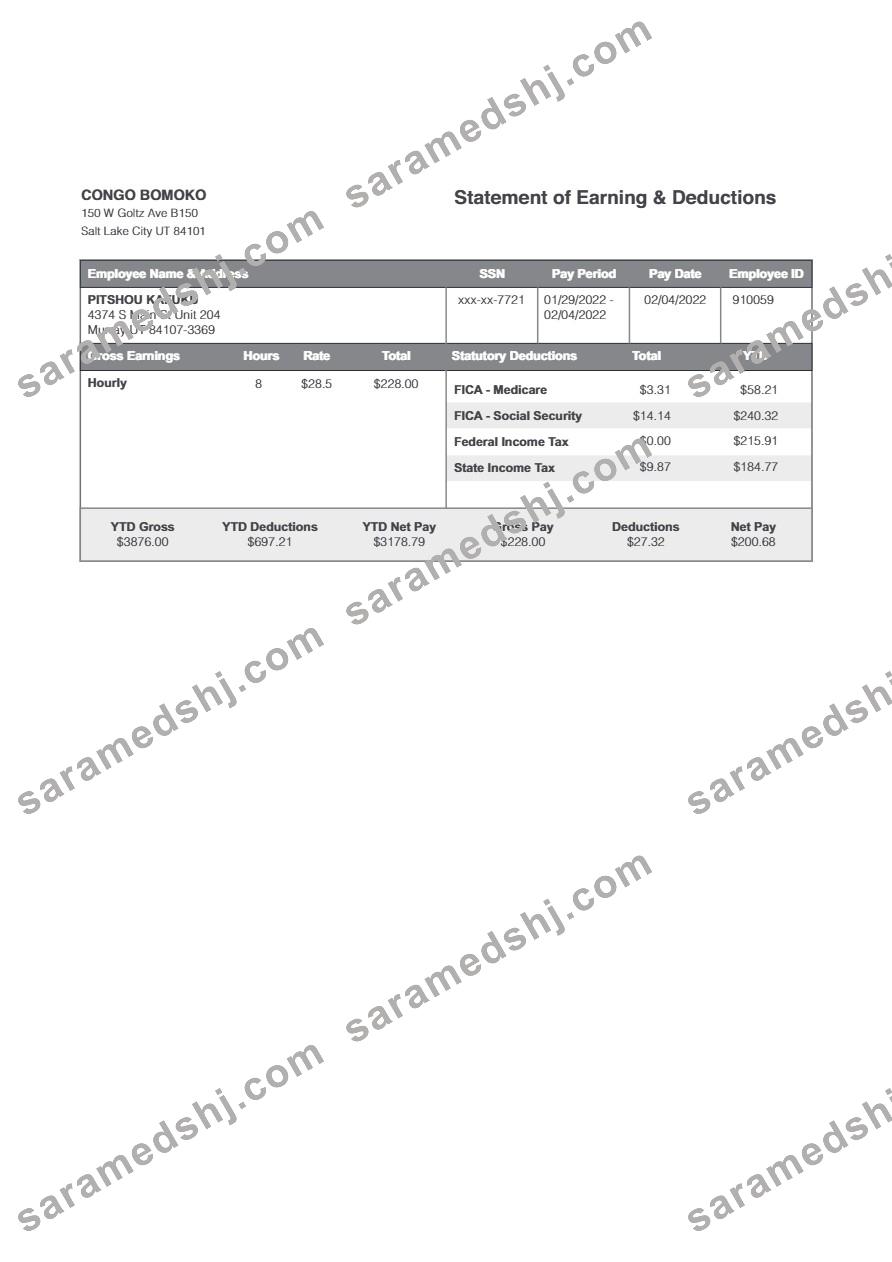 Congo Bomoko statement of earning & deductions template in Word and PDF formats.pdf, 1
